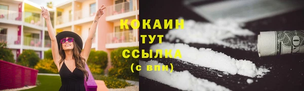 крисы Дмитриев