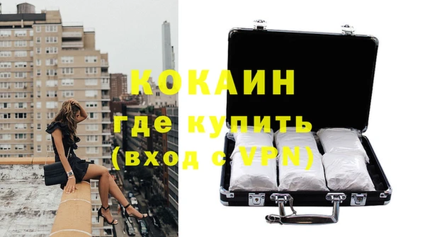 крисы Дмитриев