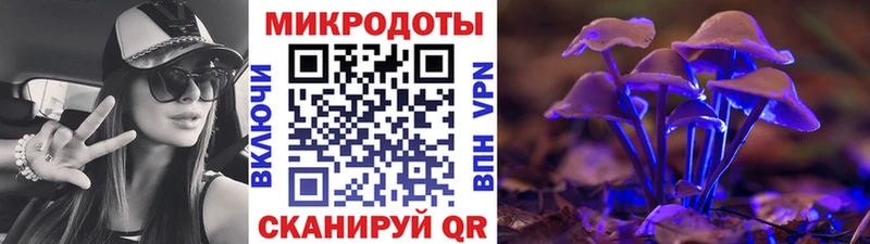 Псилоцибиновые грибы Magic Shrooms закладки Жуков