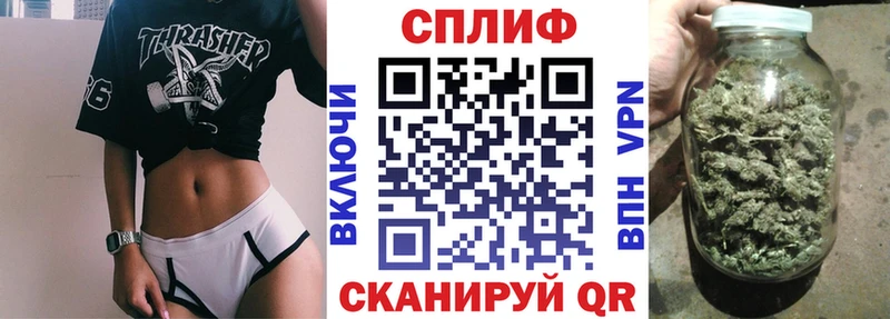 Канабис индика  наркотики  Жуков 